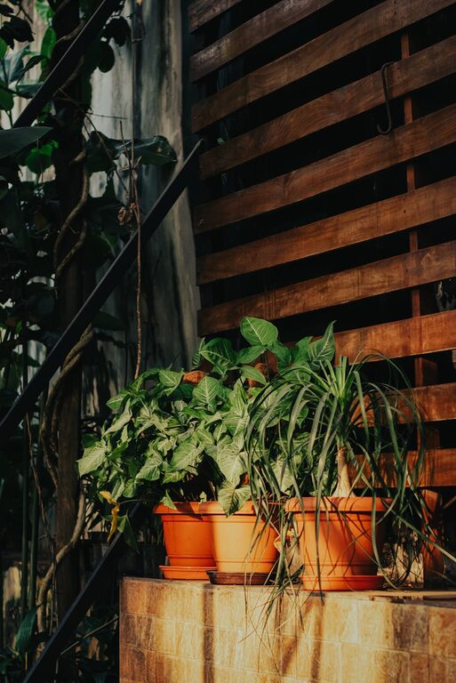 The Benefits of Incorporating Houseplants Into Your Home Decor